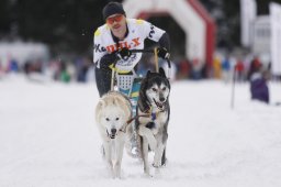 Lenzerheide 2013